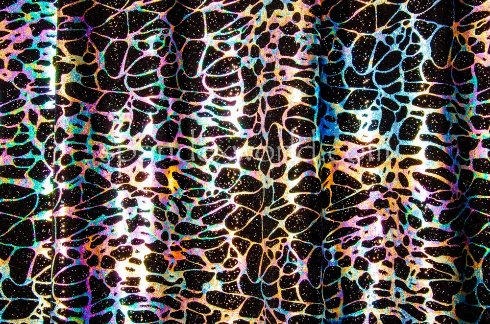 Black/Irridescent Hologram