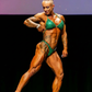 FIGURE SUIT IN GREEN FABRICS