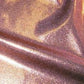 BODY BUILDING TRUNKS IN BRONZE/GOLD FABRICS