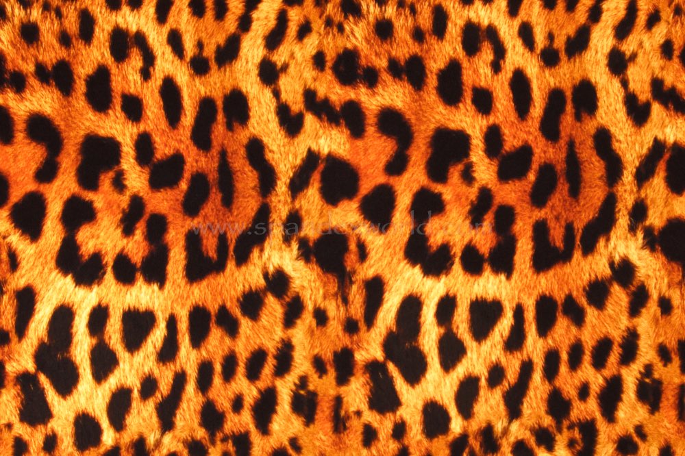 Leopard (Brown/Gold/Black)