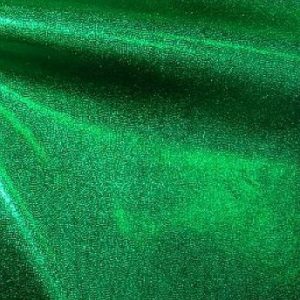 BODY BUILDING TRUNKS IN GREEN FABRICS