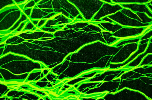 Green Lightning Lycra