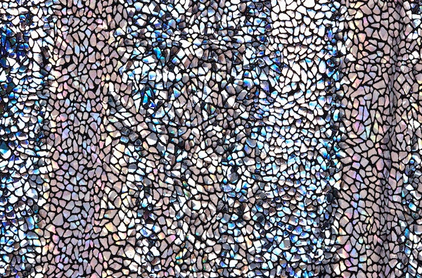 Black Silver Dragonskin