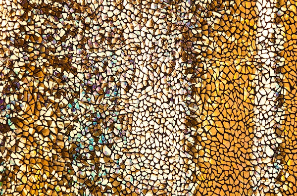 Gold Black Dragonskin